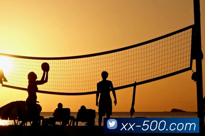 500彩票网平台生态图